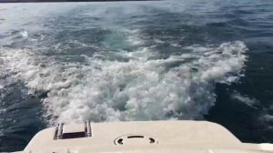 Heckwelle Bayliner 175 GT