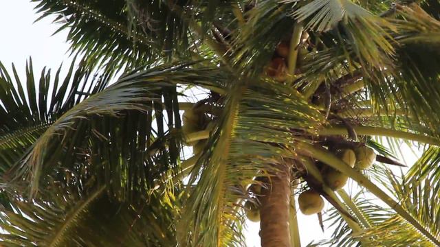 MVI 1108 смотреть онлайн