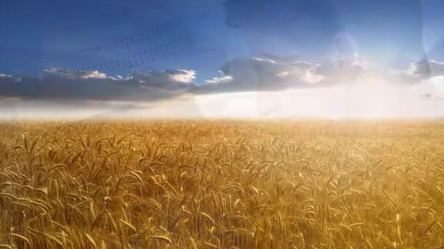 С Днем Рождения! смотреть онлайн