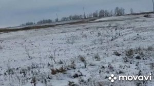 Встреча на прогулке. Как хрустит снег! Кто на кровати?