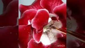 Опыление глоксинии. Как опылить глоксинию. Размножение глоксинии семенами.