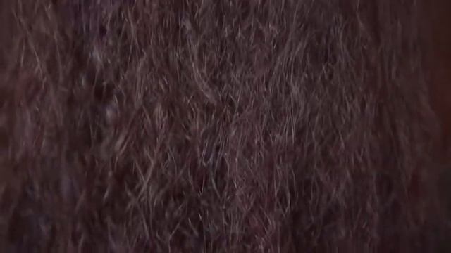 Кератирование волос смотреть онлайн