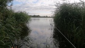 И снова рыбалка в курской области в гостях У Петровича.