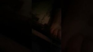 Приколы. Велосипед.