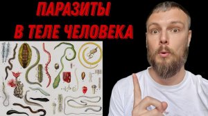 Низкое давление, слабость, ЖКТ ... - Паразиты