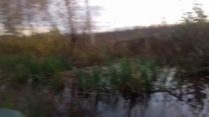 Болотоход SEA-PRO SM-6 ЖЕСТКИЙ ТЕСТ !Испытываем Двигатель ERMA POWER GX200