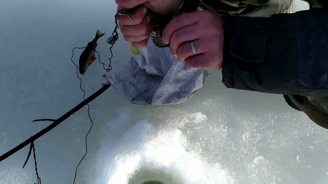 Рыбалка в Карелии #1 (30.03.2020) смотреть онлайн