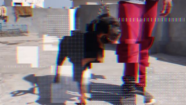 Ротвейлер - всё о породе собаки смотреть онлайн