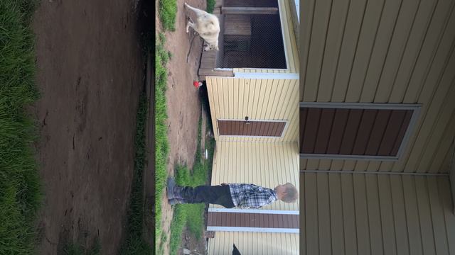 Вот и лето прошло…