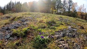 Карелия. Озеро Кончезеро, очень красивое место. Река Шуя.