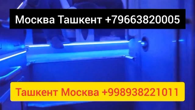 Москва Ташкент автобус 2023 Ташкент Москва автобус прямой рейс 2023