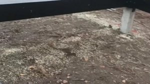 Обвязка свай и монтаж половых лаг для каркасного дома.