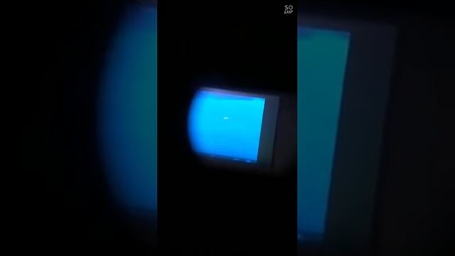 Тепловизор Pulsar: лайка хочет поймать зайца смотреть онлайн