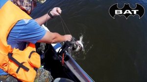 Клевые обзоры № 22 Большой тест силиконовых приманок BAT ловим судака на Волге