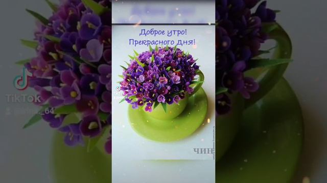 Сборник "Доброго весеннего утра! Романтичного настроения!" смотреть онлайн