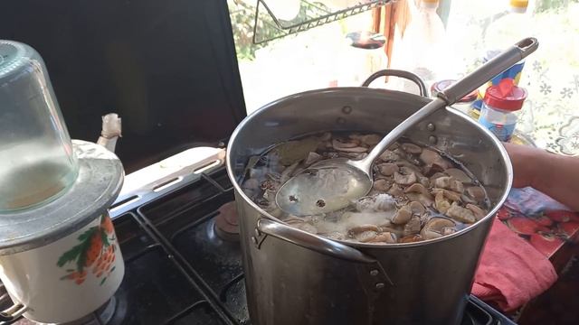 Лучшие рецепты. Маринованные белые грибы, заготовки на зиму смотреть онлайн