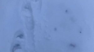 Профессия маляр. Сколько маляр красит за день?