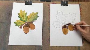 Здравствуйте. Тема «Желуди и листья» от 10.11.20 акварель, гуашь.