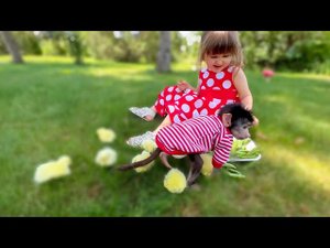 Ангелина и Люся на любимой полянке ЛАКОМЯТСЯ ГОРОХОМ и угощают своих подписчиков!