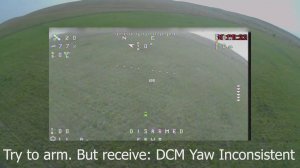 ZOHD Dart 250G Disarm в воздухе