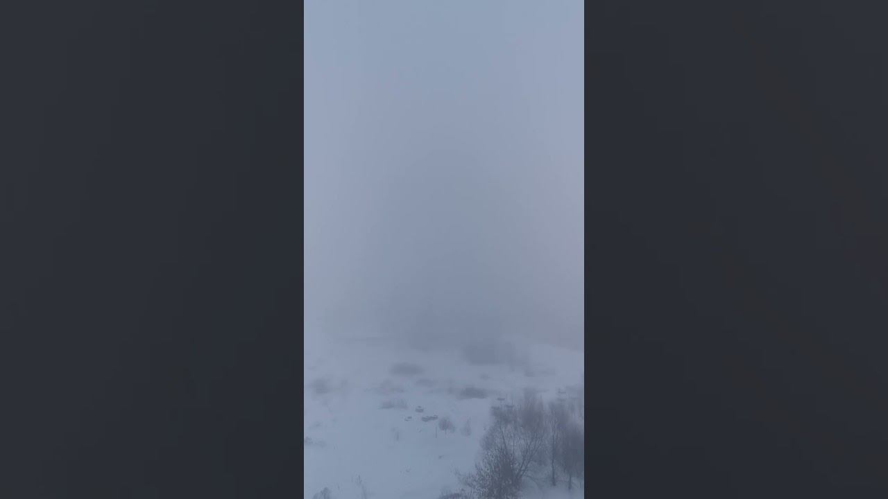 Доброе зимнее, туманное утро! Good winter, foggy morning! #туман #доброеутро #синийтуман #тверь