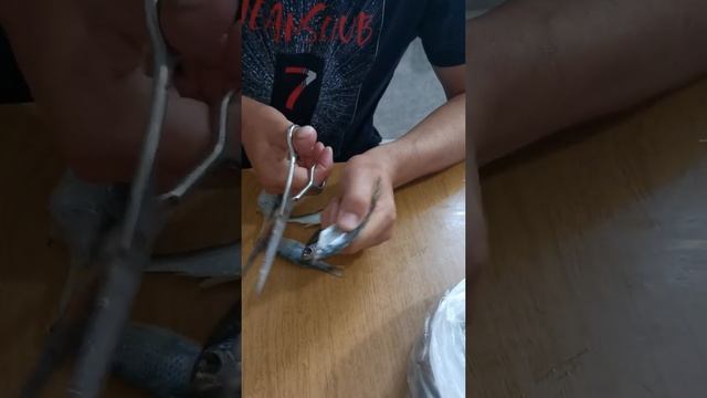 Наш жёлтый полосатик??