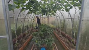 6 соток 21 июля 2024 года. Хроника.