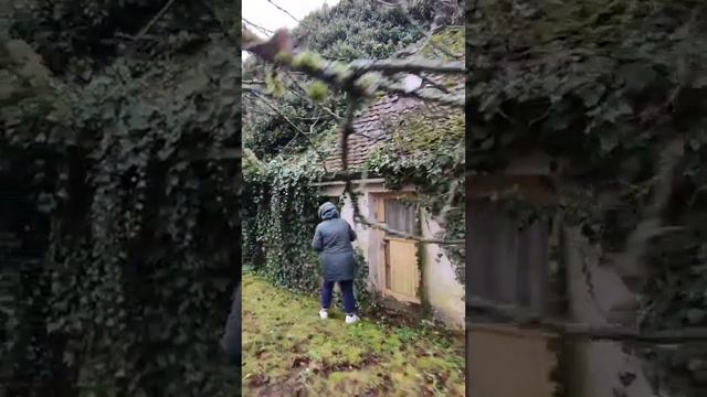 Купить недорого дом в Германии. Спасибо за подписку смотреть онлайн