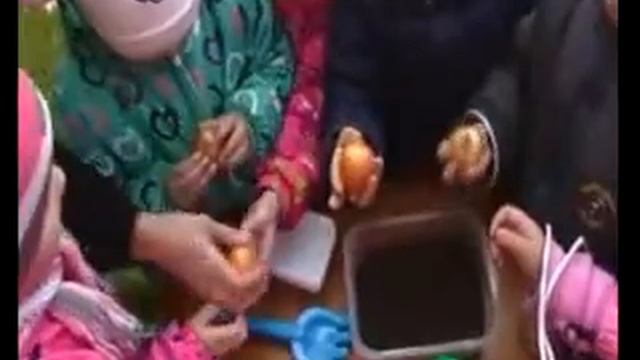 Детский сад 5 г. Рошаль Экологическая тропа