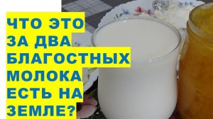 Вот эти продукты - самые благостные на Земле для людейThese products are the most beneficial on Eart