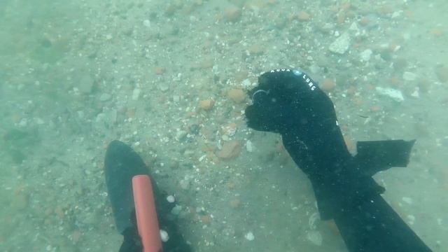 погружение на пляже с xp deus 2 смотреть онлайн