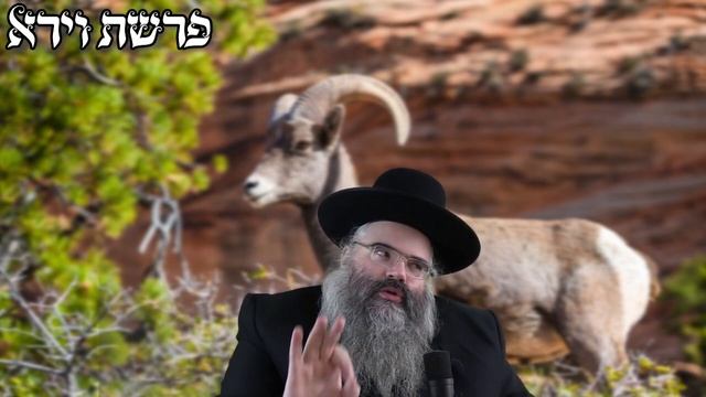 ר' אברהם מרדכי מלאך פרשת וירא תשפ''ד смотреть онлайн
