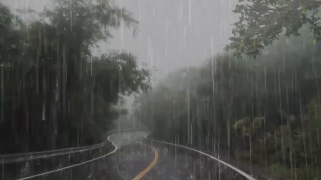 Lluvia Relajante Para Dormir y Relajarse en 3 Minutos - Ruido de Lluvia en el Bosque Brumoso - ASMR