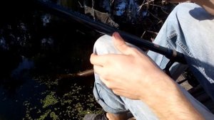 Рыбалка, жирный карась, Ставок возле Ленина, шахта 13 бис, Ханженково, Макеевка