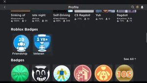 I DIDN`T REALIZE I HAD THE ROBLOX VETERAN MEDAL BADGE!