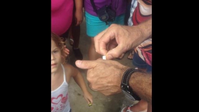 Baby Crocodile Hatched From Eggs & вылупление крокодильчика