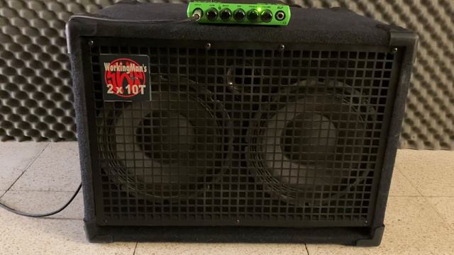 SWR Workingman 2x10T смотреть онлайн