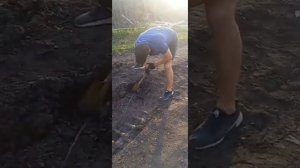 Тестируем  металлоискатель MD4030. Первый коп с МД4030 за 1 час что удалось найти