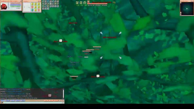 Entropia Flyff ( Mystic Valley ) смотреть онлайн