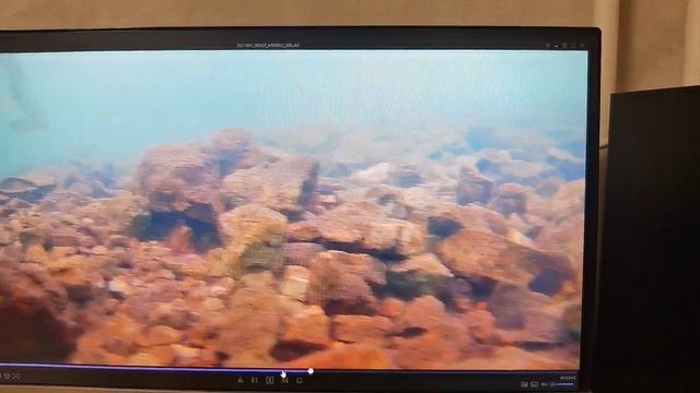 Атака щуки в родной стихии. 7-ка с записью от пользователя смотреть онлайн