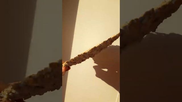 Тарелочка из переработанной бумаги !