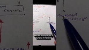 Подагра. С позиции биохимии