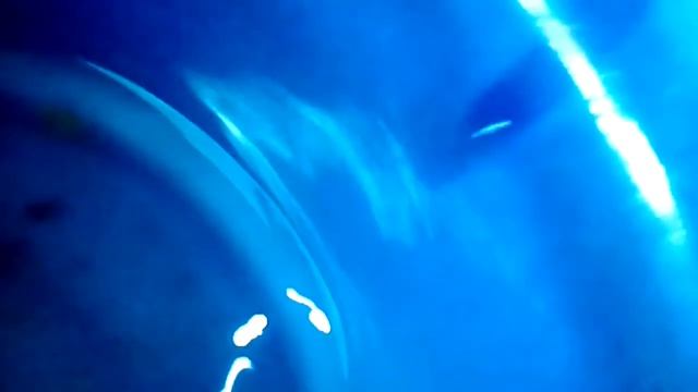 Как определить пол у данио смотреть онлайн