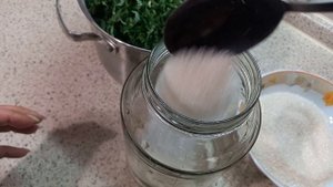 Сироп из подорожника- лечение верхних дыхательных путей