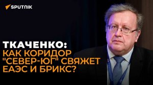 Экономист Ткаченко об итогах ВЭФ, развороте товарооборота на Восток и значении коридора "Север-Юг"