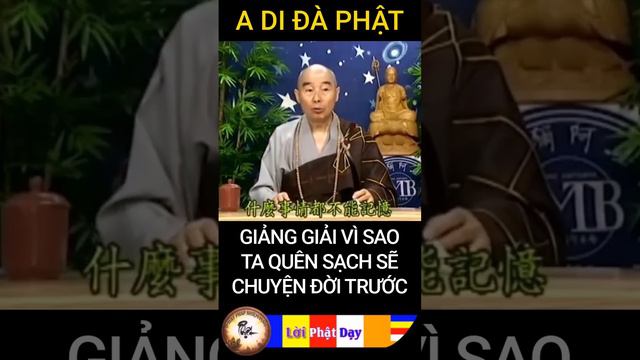 GIẢNG GIẢI VÌ SAO TA QUÊN SẠCH SẼ CHUYỆN ĐỜI TRƯỚC - Hòa Thượng Tịnh Không - Phật Pháp Nhiệm Màu