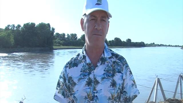 Набиюла Карачаев смотреть онлайн