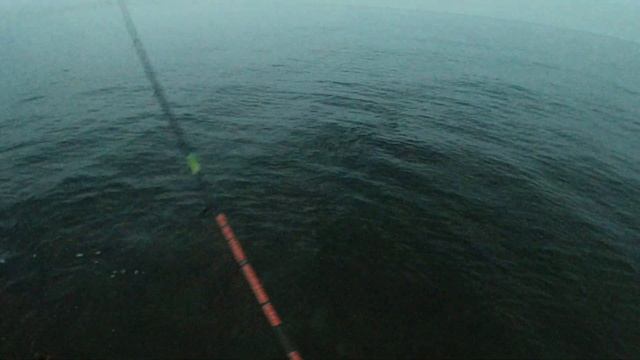 Самодур на ставриду. Рыбалка на Черном море 2021. Спиннинг на ставриду с берега.