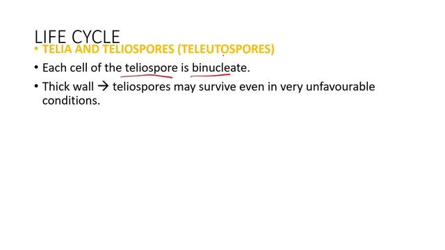 FUNGI – PART-XXXI BASIDIOMYCOTA – PUCCINIA STAGES ON WHEAT 2 смотреть онлайн