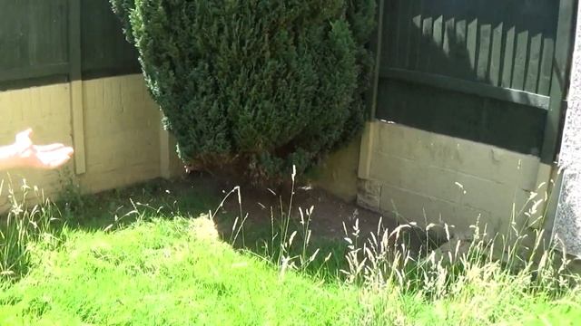 Переезд в свой дом в Великобритании смотреть онлайн